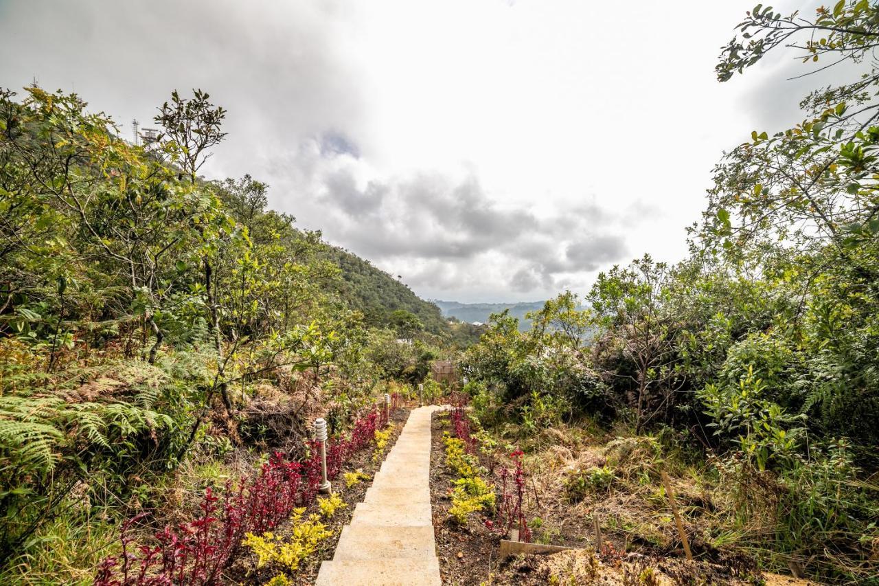 Cerro Verde Mirador Medellín Extérieur photo